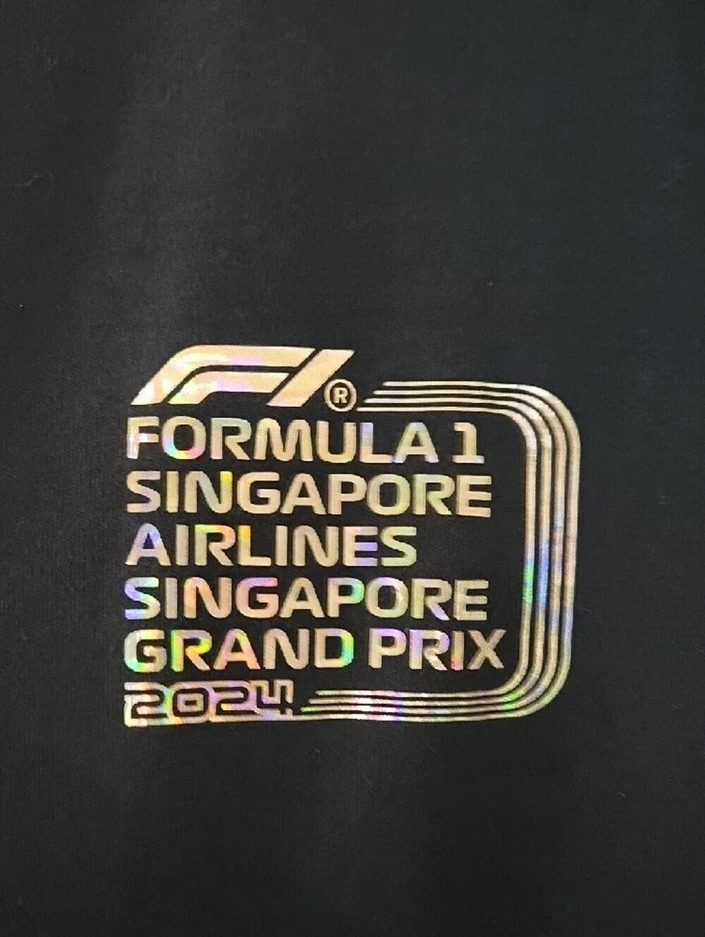Formula 1 Singapore Grand Prix Navy Zipup